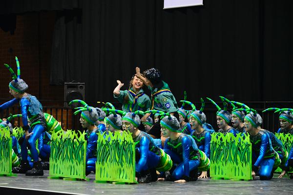 20151121Tanztunier der Karnevalisten __46.jpg - Soul-city- Dancers TSV Sa. 21.11.2015,Hannover (Foto:Herbert Frost)